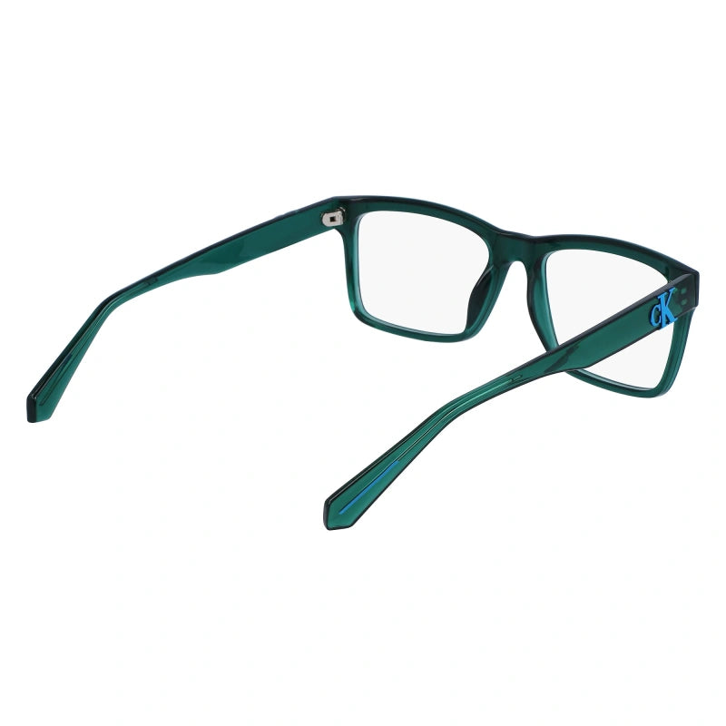 CALVIN KLEIN CK 23615 300 54/18